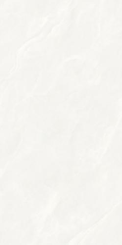 -M751505\G-M12605