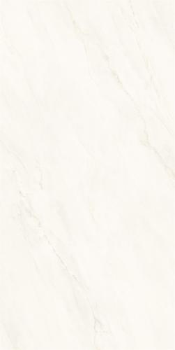 M62CB-P006