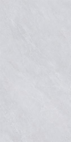 M62CB-P005