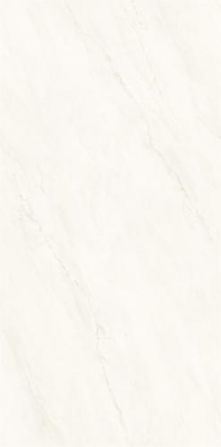 M75CB-P006