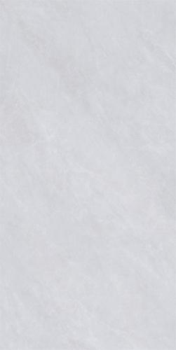 M62CB-P005-2