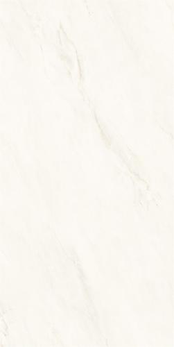 M62CB-P006-2