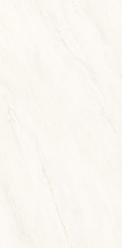 M75CB-P006-4