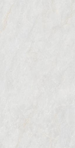 M75CB-P007-2